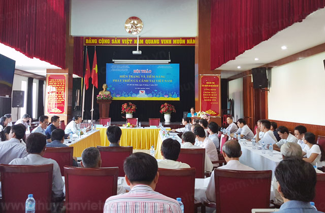 Hiện trạng và tiềm năng phát triển cá cảnh tại Việt Nam